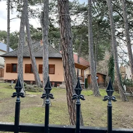Arpad Lak Semesterbostad Siófok